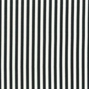 Bild på Black Stripe BeColourful by Anthology Fabrics