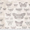 Bild på Butterflies - Parchment || Monochrome Tim Holtz Eclectic Elements PWTH004.PARCHMENT