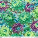 Bild på Japanese Chrysanthemum Classics PJ041 Shaggy Philip Jacobs for the Kaffe Fassett Collective