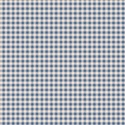 Bild på 160073 Gingham Blue – Summer Creating Memories