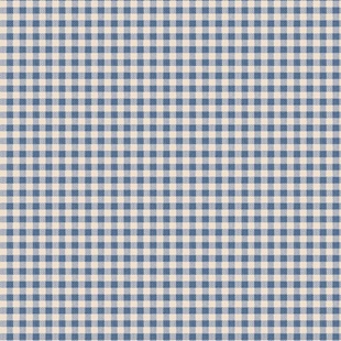 Bild på 160073 Gingham Blue – Summer Creating Memories