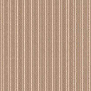 Bild på 160076 Stripe Toffee – Autumn Creating Memories