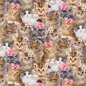 Bild på Natural Packed Princess Kitty CD3579-NATURAL
