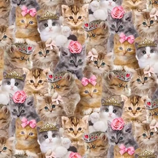 Bild på Natural Packed Princess Kitty CD3579-NATURAL
