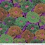 Bild på Tibetan Peony - Dark Philip Jacobs for the Kaffe Fassett Collective  PWPJ136.DARK