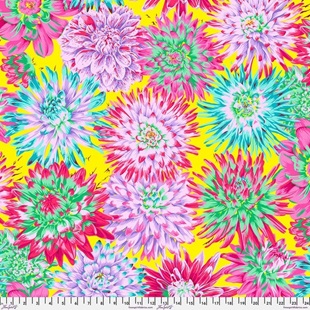 Bild på Cactus Dahlia Philip Jacobs for the Kaffe Fassett Collective PWPJ054