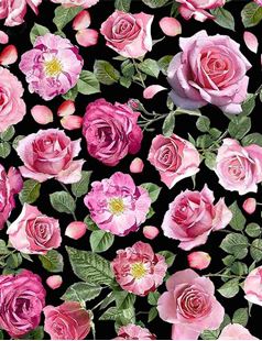 Bild på Paris Atelier Roses Fleur C8067 Black