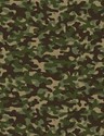 Bild på Camo Blender CAMO-C8000  MULTI