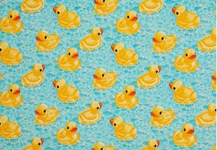 Bild på Rub a rub ducky 1514A
