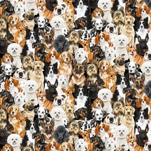 Bild på Packed Realistic Dogs C8553-MULT