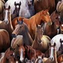 Bild på Black Horses Elizabeths Studio 433E-BLK hästar