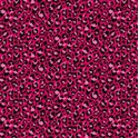 Bild på Jewel Tones 2403 P Pink Leopard